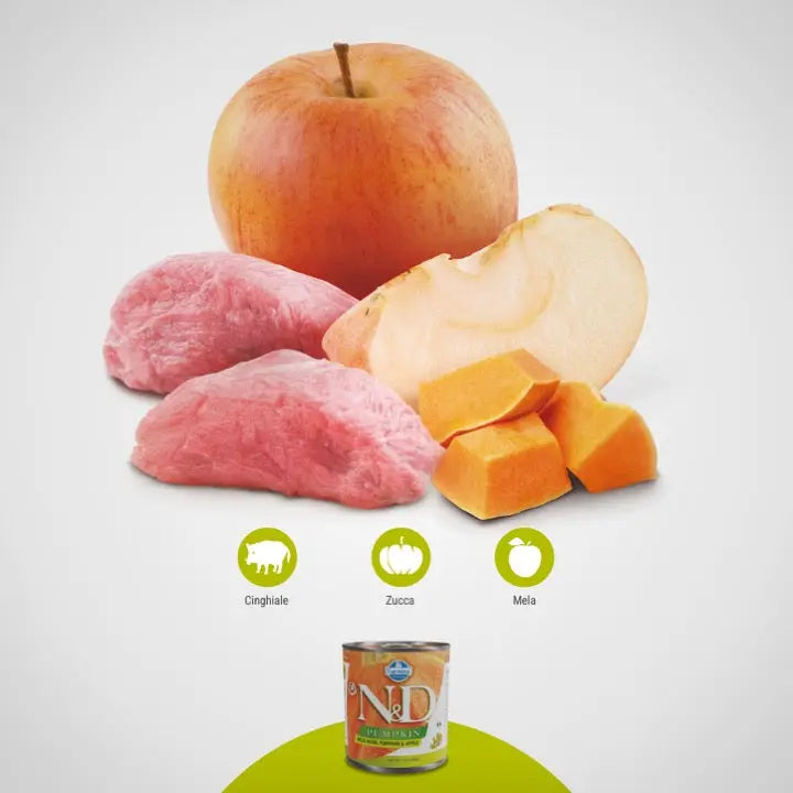 Umido N&D Zucca, Cinghiale e Mela Farmina