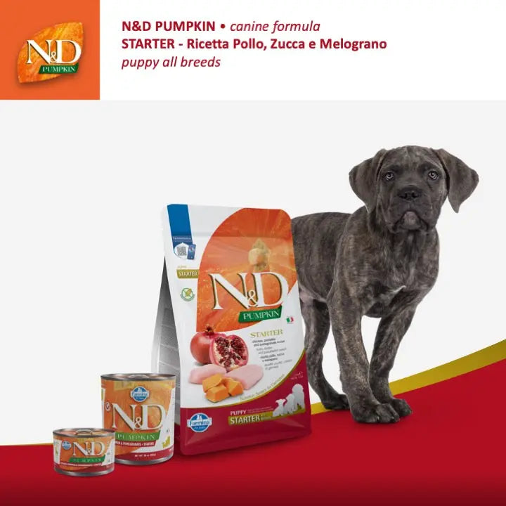 Umido N&D Zucca, Pollo & Melograno Farmina