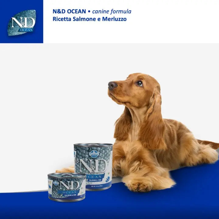 Umido N&D ocean Salmone & Merluzzo Farmina