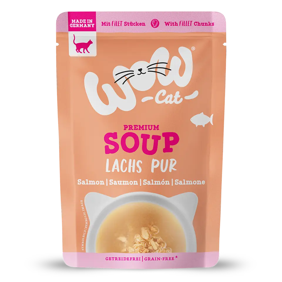 Wow Cat Zuppa con Salmone Wow Cat