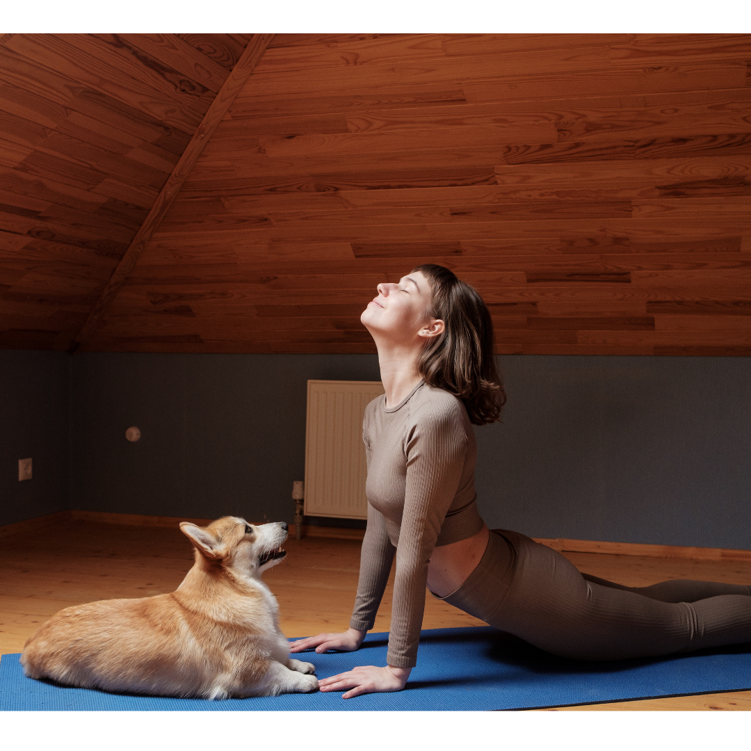 blog I Segreti per il Benessere del Tuo Animale che Non Vogliono che Tu Sappia