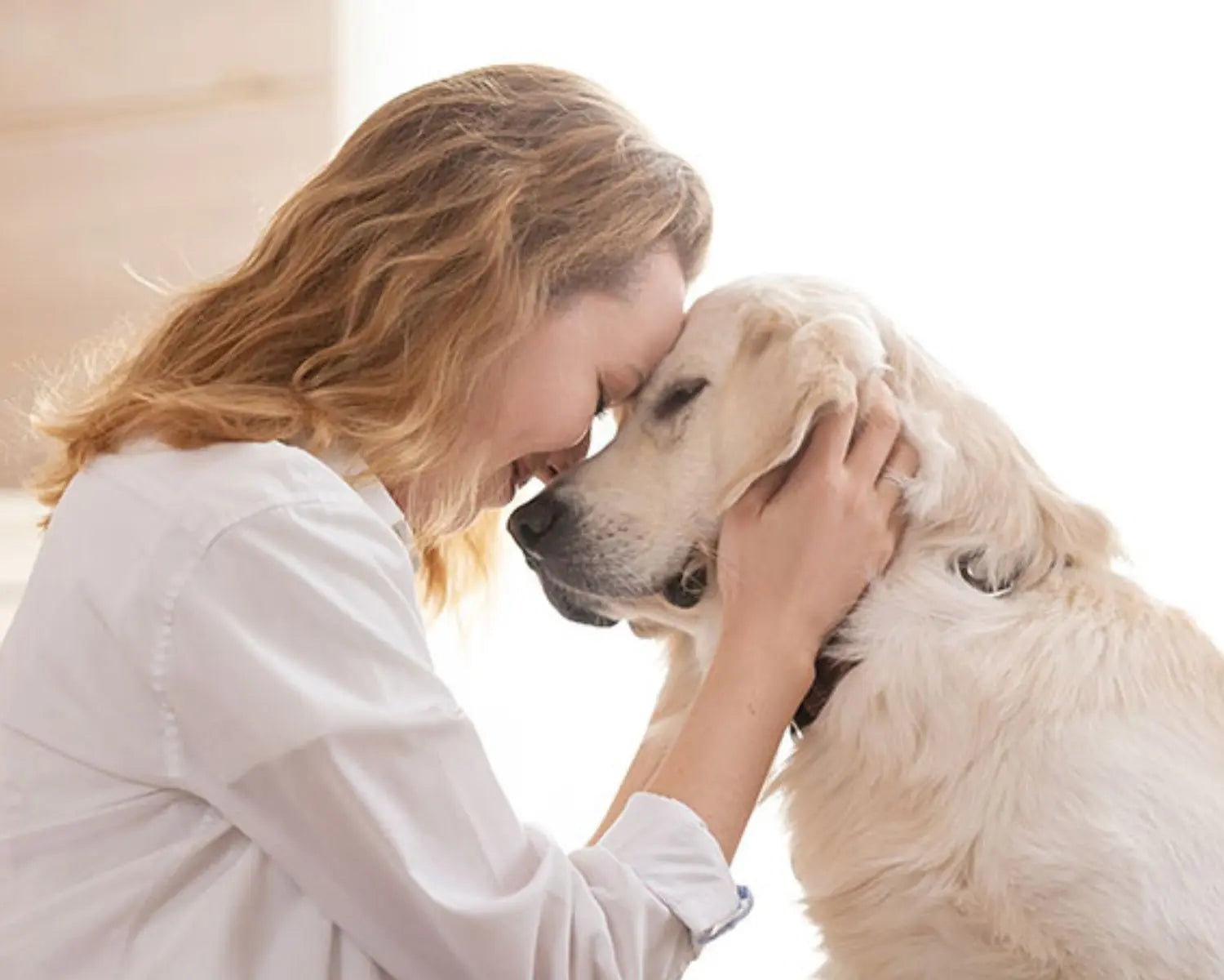 Ritrova la Salute e il Sorriso del Tuo Cane che Soffre di Problemi alle Articolazioni