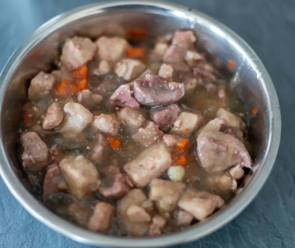 Cibo Umido per Cani: Gusto e Nutrizione per il Benessere del Tuo Fedele Amico - Respet Shop