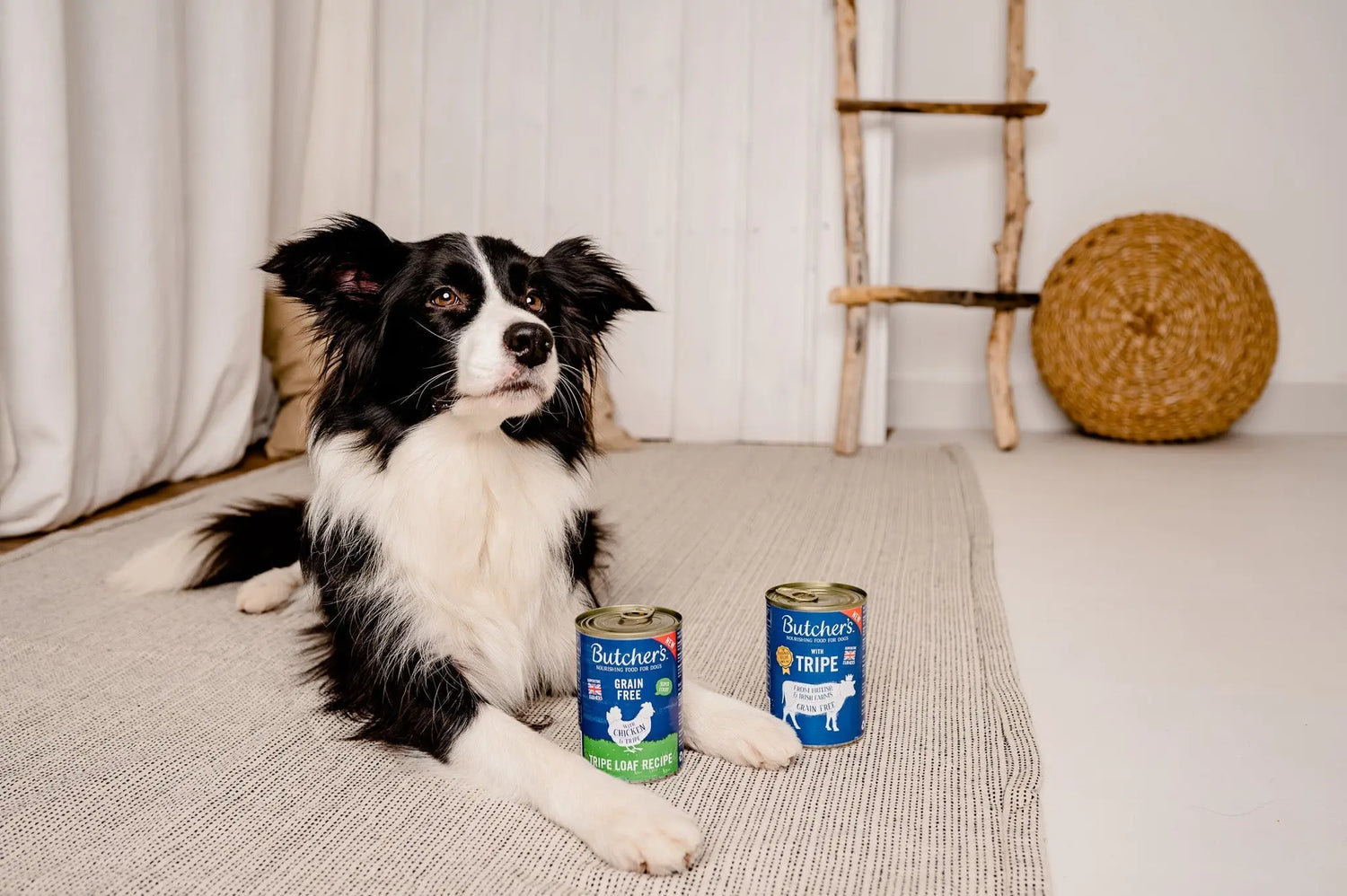 Butcher-s-Alimentazione-sana-per-cani-e-gatti-di-tutte-le-razze Respet Shop