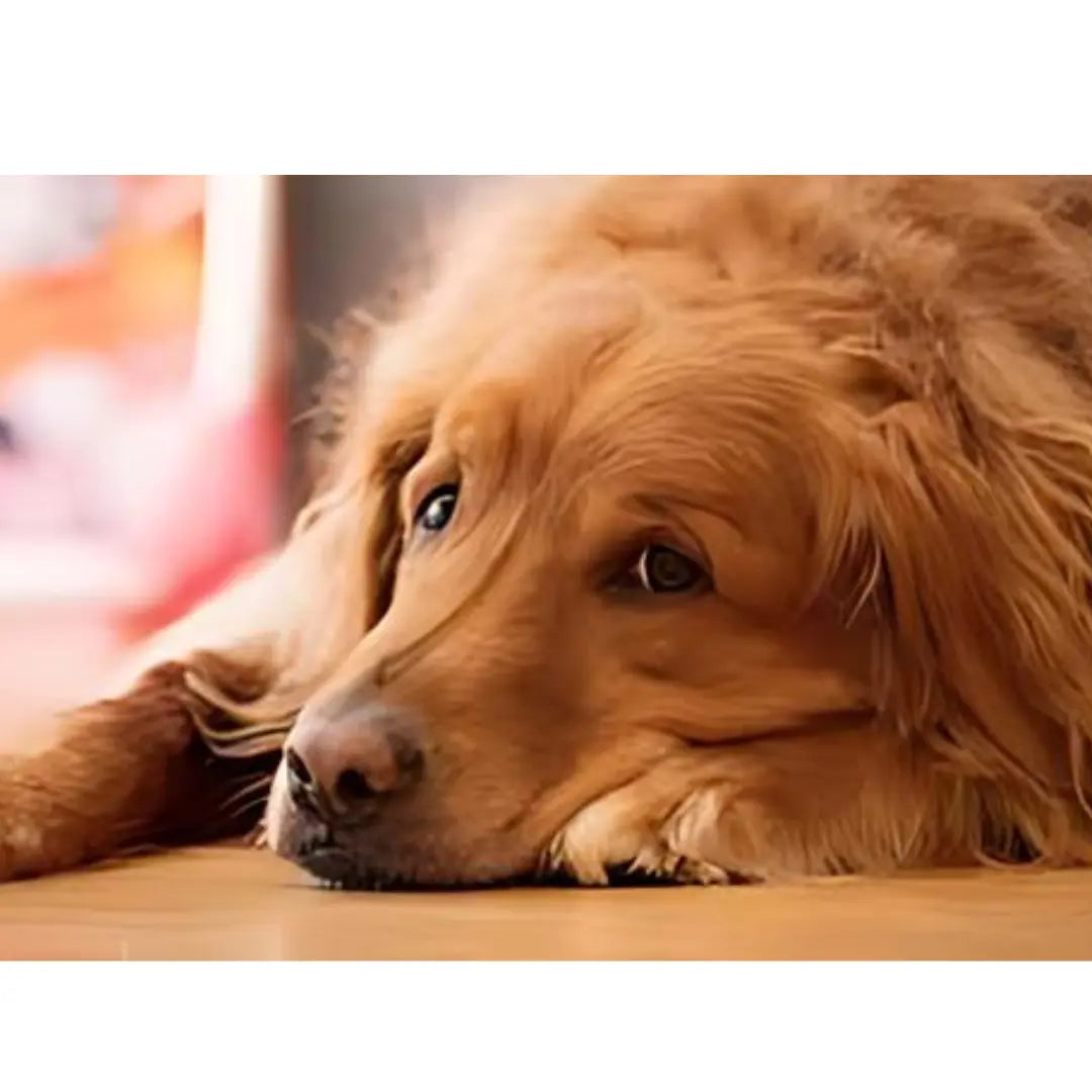 blog Mancanza di energie con i primi caldi? Abbiamo una valida soluzione da proporti