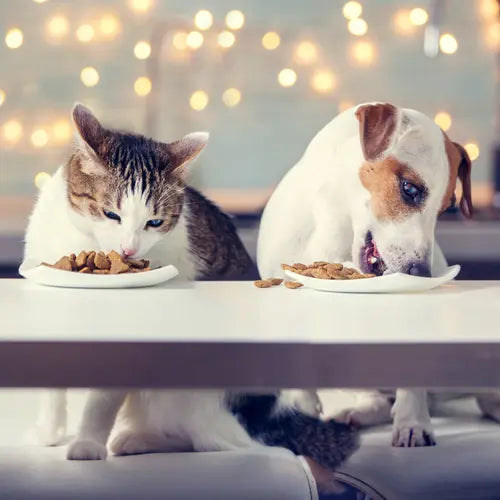 Trasforma ogni pasto del tuo pet con gli Insaporitori "I'm Different"!