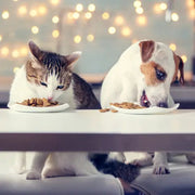 blog Trasforma ogni pasto del tuo pet con gli Insaporitori "I'm Different"!
