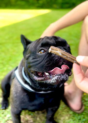 Scopri i Nuovi Snack Dentali di Farmina: Un "Morso" di Salute per il Tuo Cane!