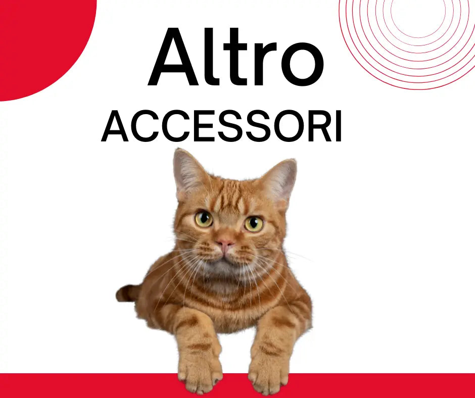 Altro ACCESSORI GATTO - Respet Shop