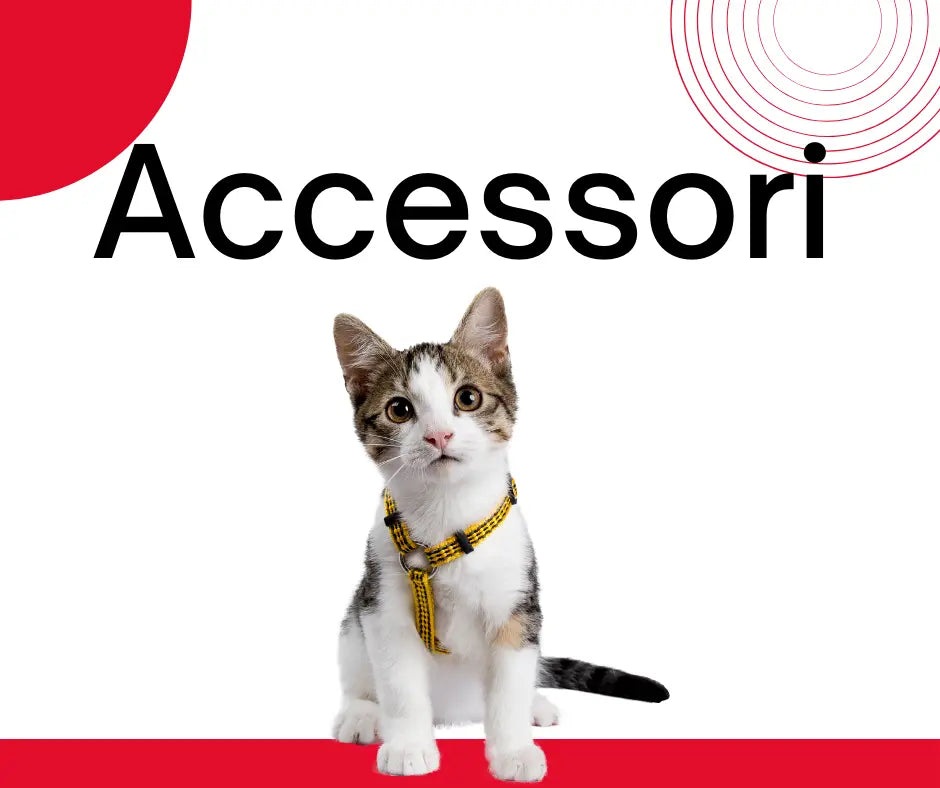 Accessori Gatto - Respet Shop