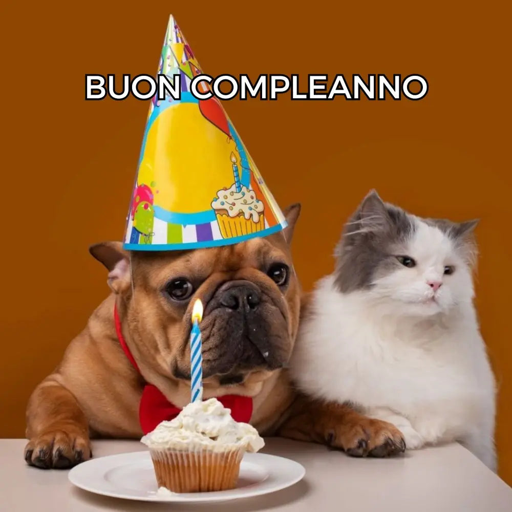 Buon-Compleanno Respet