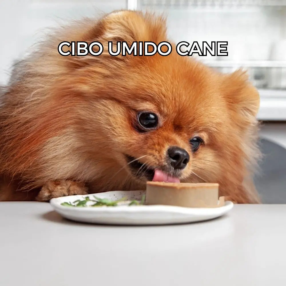 Cibo-umido-Cane Respet