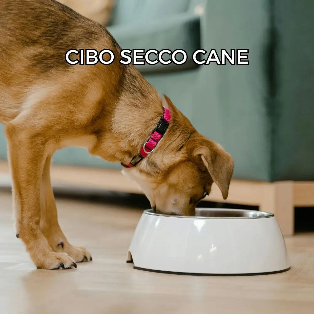 Cibo-secco-Cane Respet