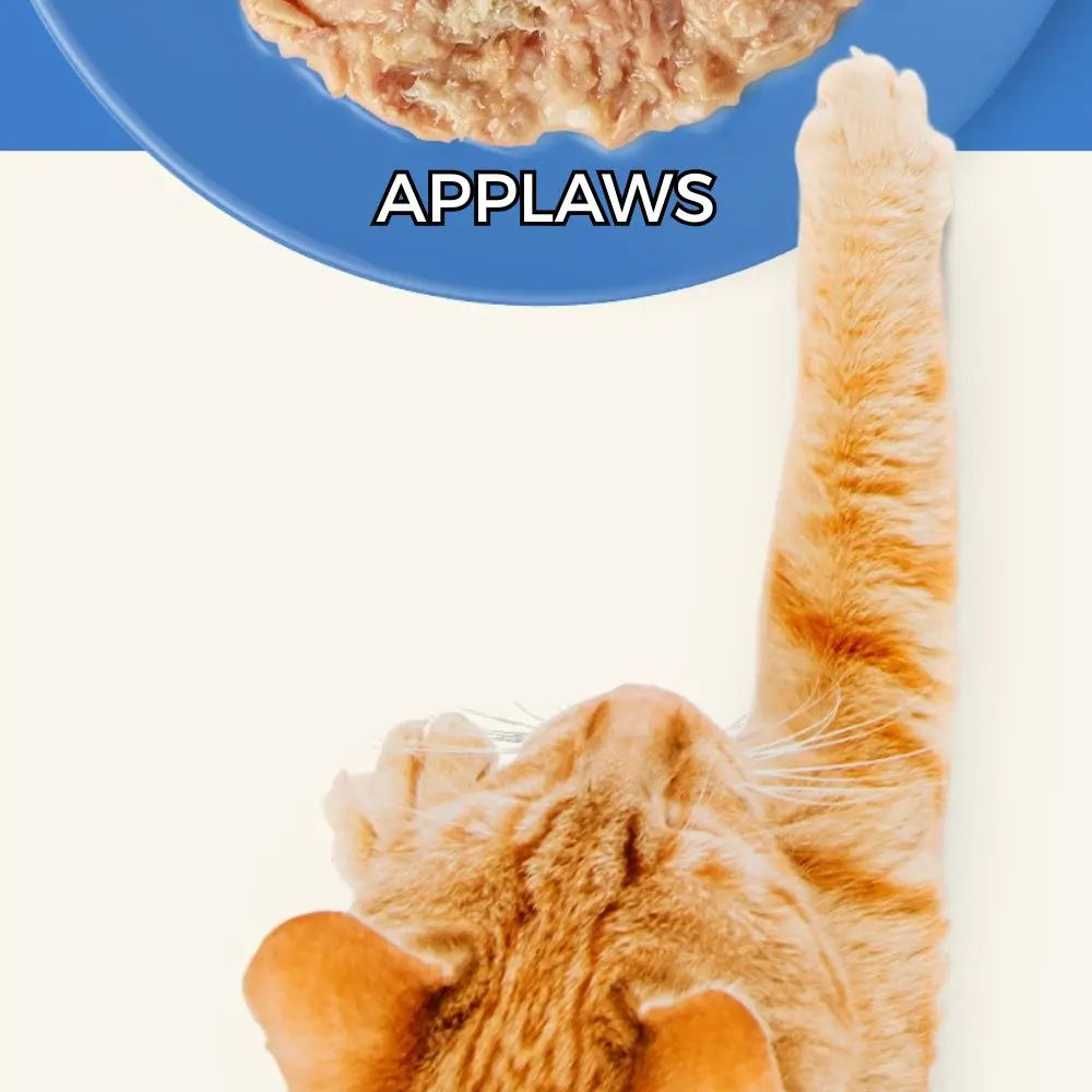 Applaws Respet