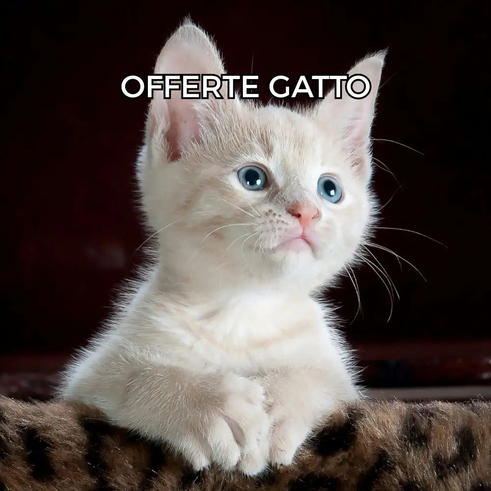 Offerte-gatto Respet
