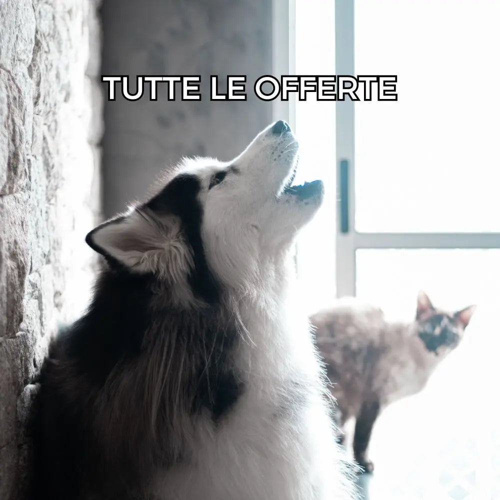Tutte-le-offerte Respet
