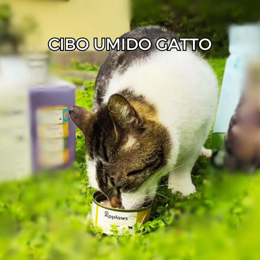 Cibo-umido-Gatto Respet