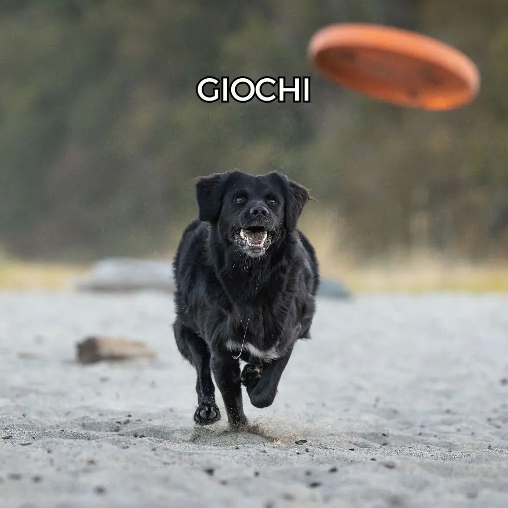 Giochi Respet