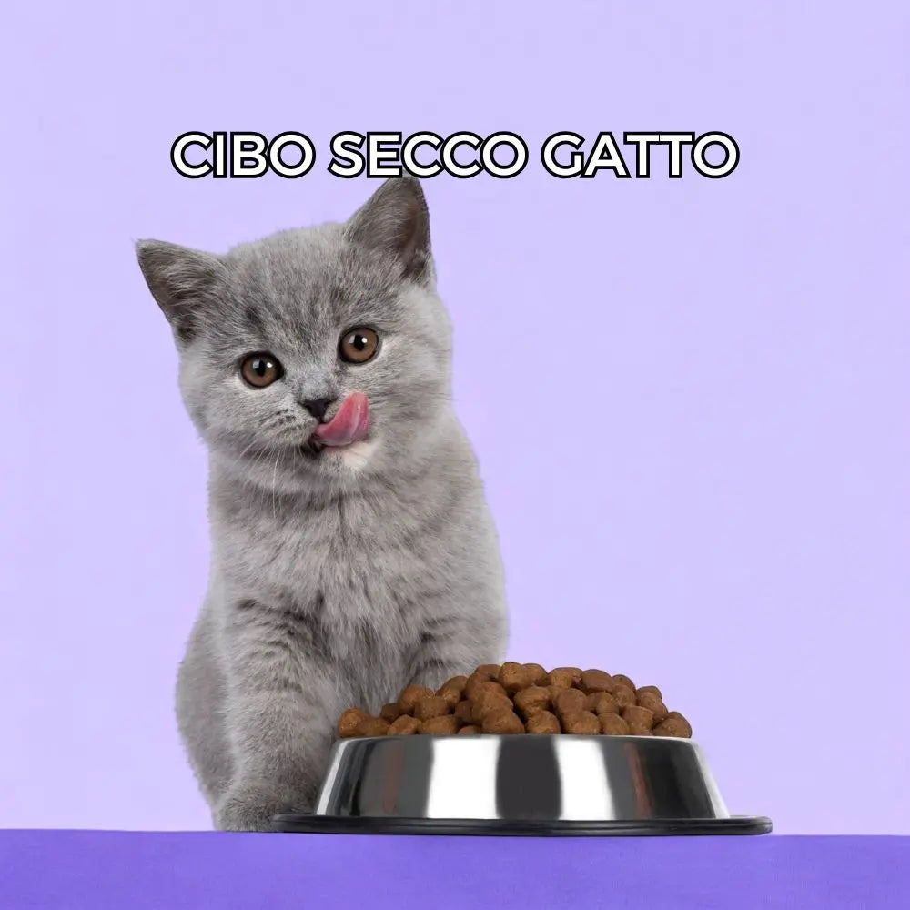 Cibo-Secco-Gatto Respet