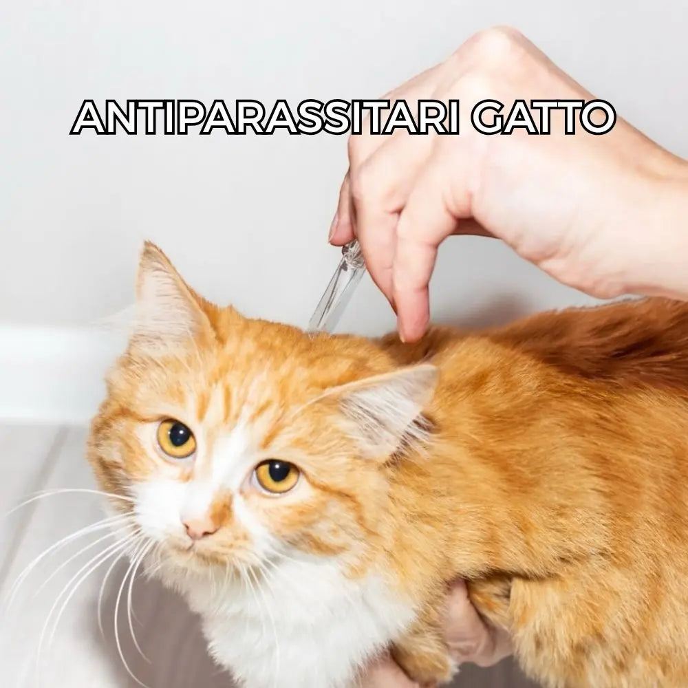 Antiparassitari-Gatto Respet