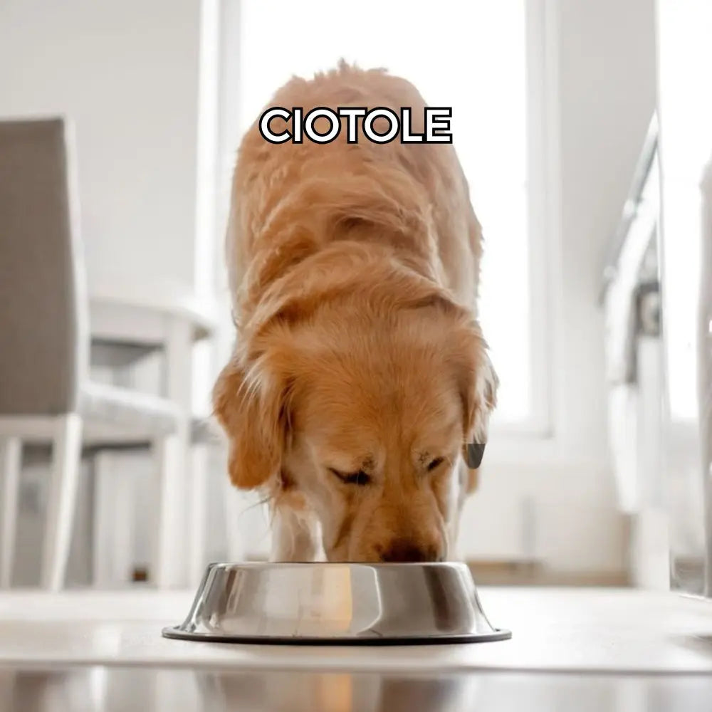 Ciotole Respet