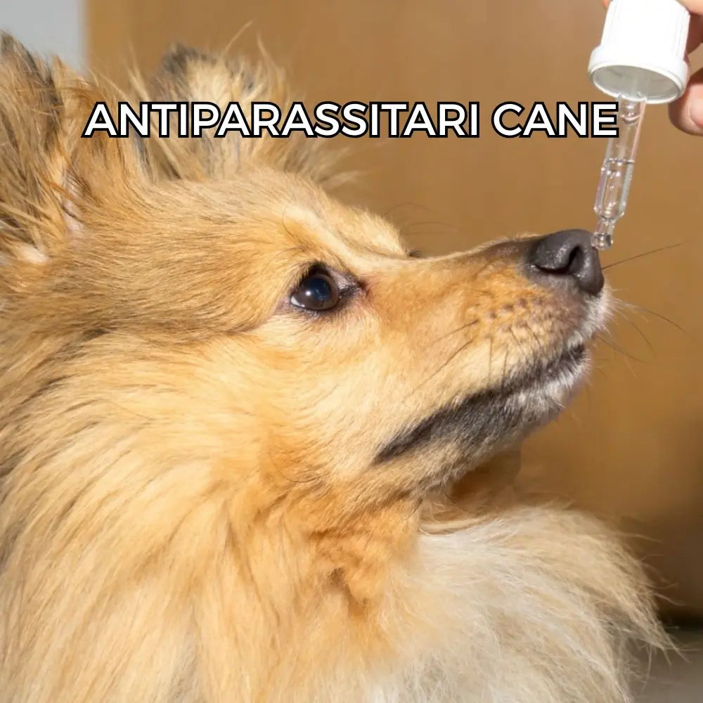 Antiparassitari-Cane Respet