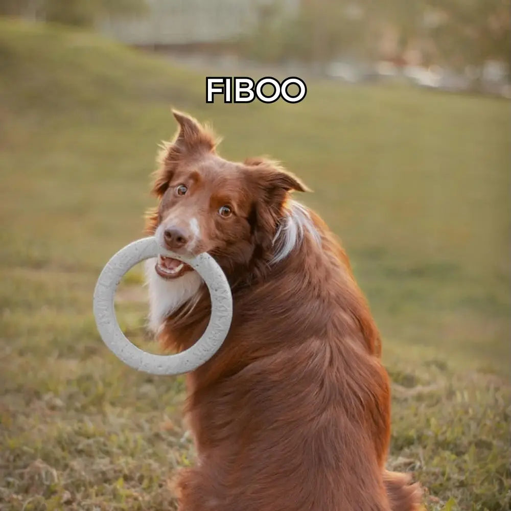 Fiboo Respet