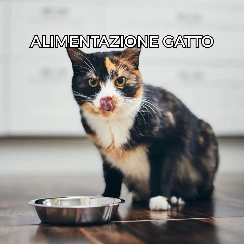 Alimentazione-Gatto Respet