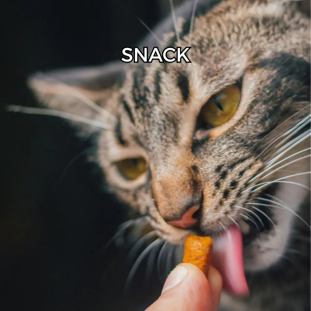 Snack Respet