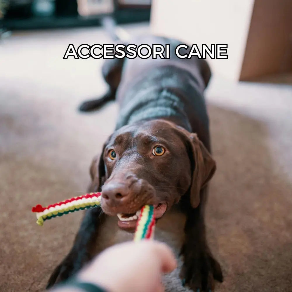 Accessori-Cane Respet