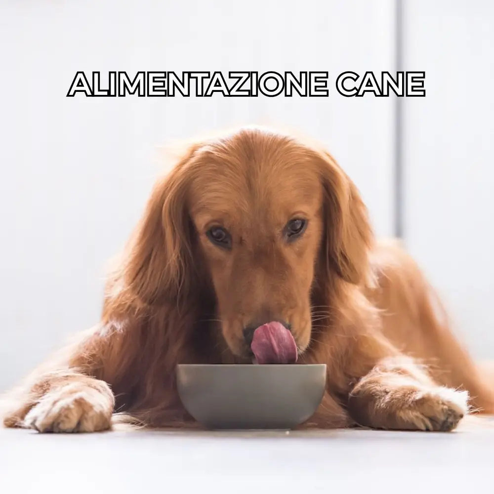 Alimentazione-Cane Respet
