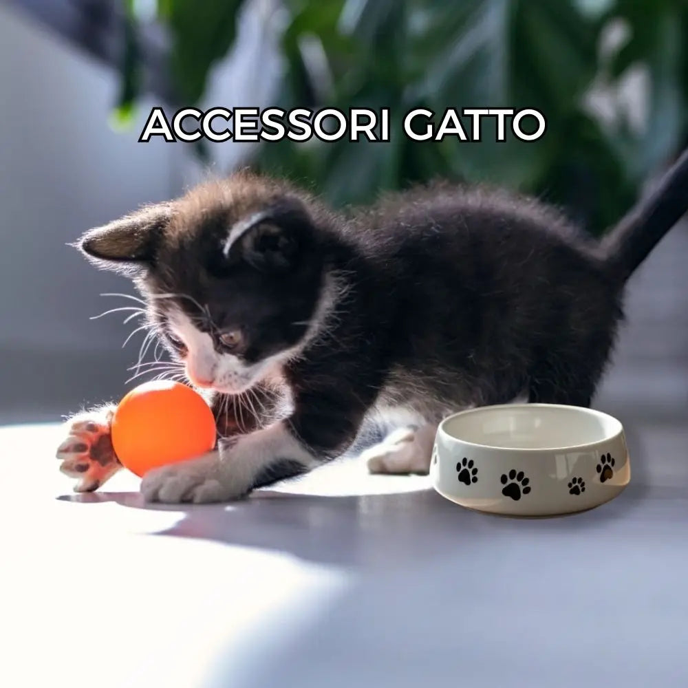 Accessori-Gatto Respet