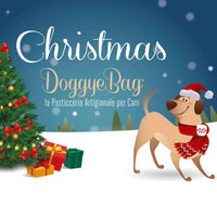 DoggyeBag, Palla di Neve - Terzo prodotto