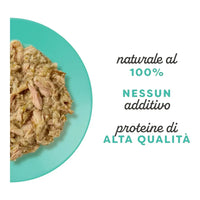 Applaws Gatto buste Filetto di Tonno con Acciughe in brodo 12 x 70 g Applaws Italia