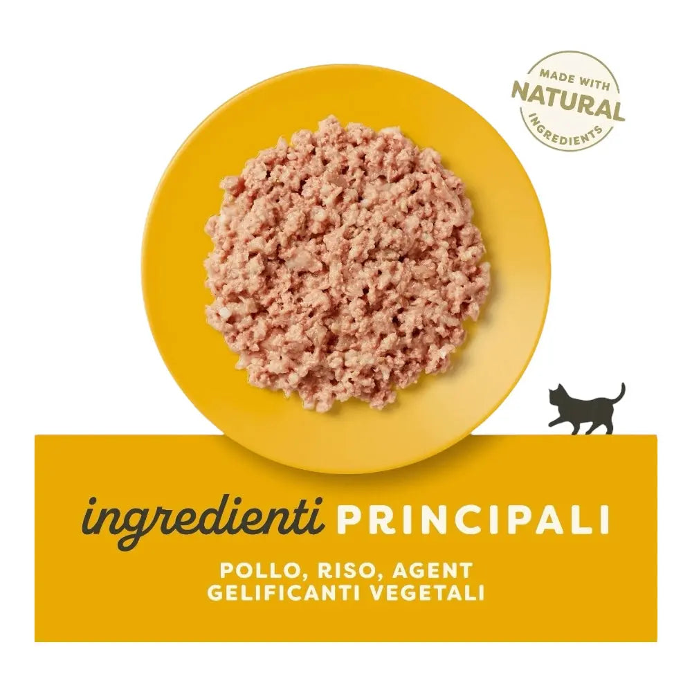Applaws Gatto lattine Kitten Petto di Pollo in gelatina 24x70 g Applaws Italia