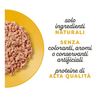 Applaws Gatto lattine Kitten Petto di Pollo in gelatina 24x70 g Applaws Italia