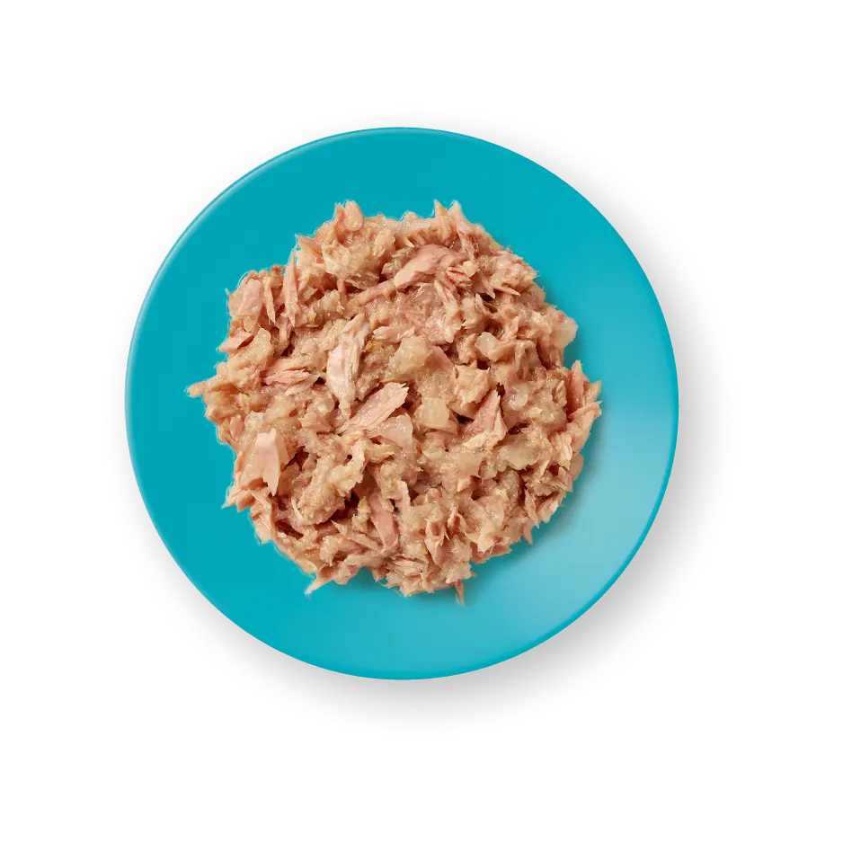 Applaws Gelatina Filetto di Tonno 24 x 70 g Applaws