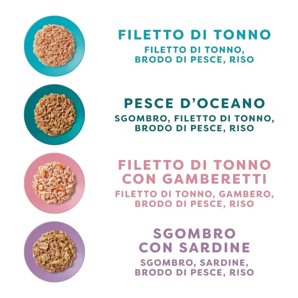 Applaws Multipack lattine Selezione Pesce in brodo 12 x 70 g Applaws Italia