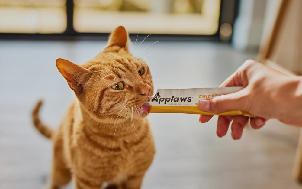 Applaws Treats da leccarsi i baffi cremosi al pollo 40x15g Applaws
