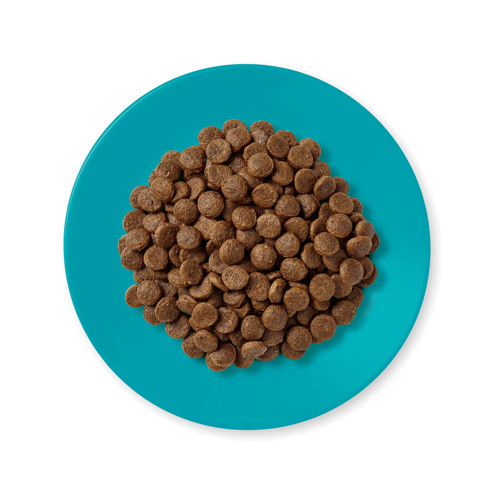Applaws croccantini Pesce d'oceano e salmone 1,8kg Applaws