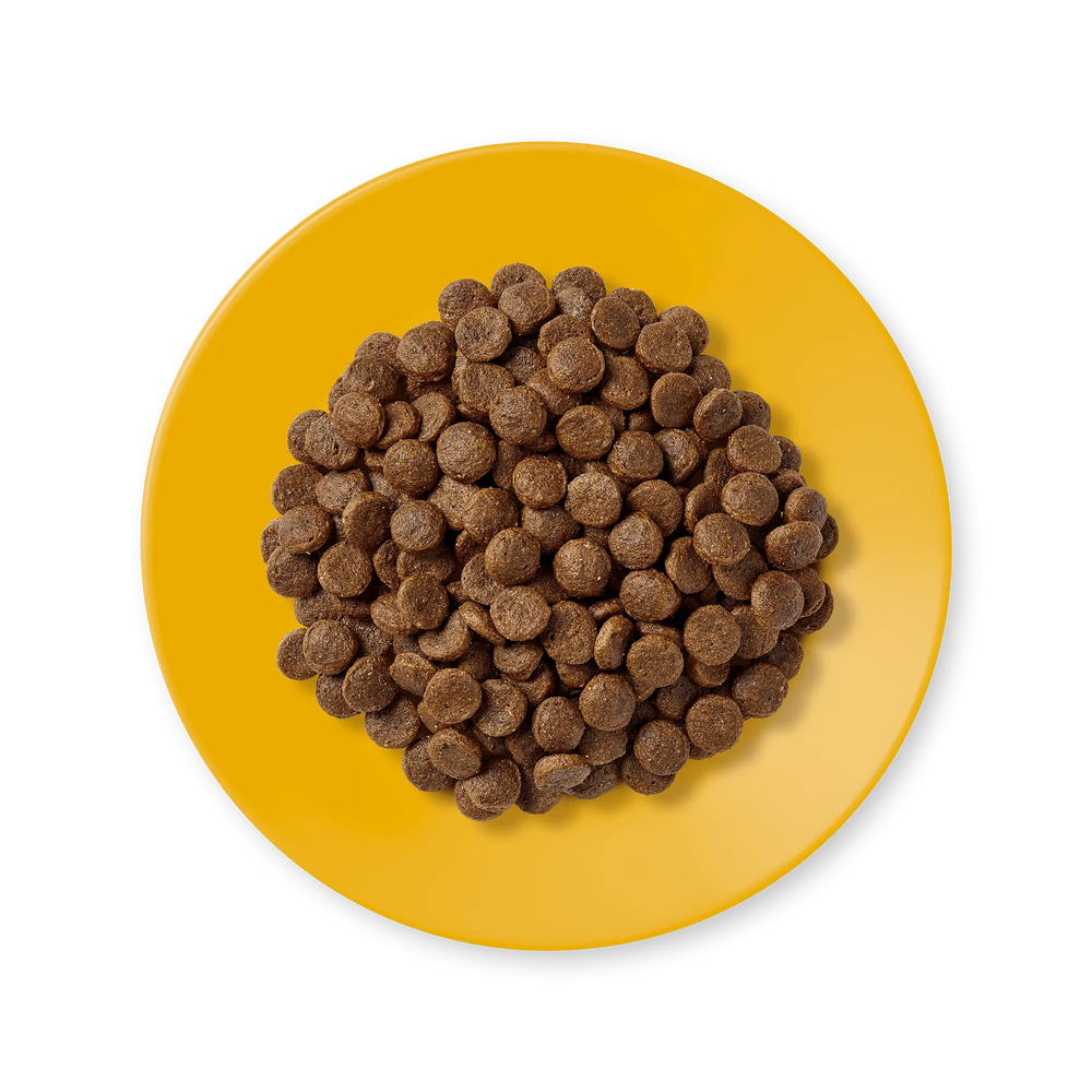 Applaws croccantini Pollo 2kg Applaws
