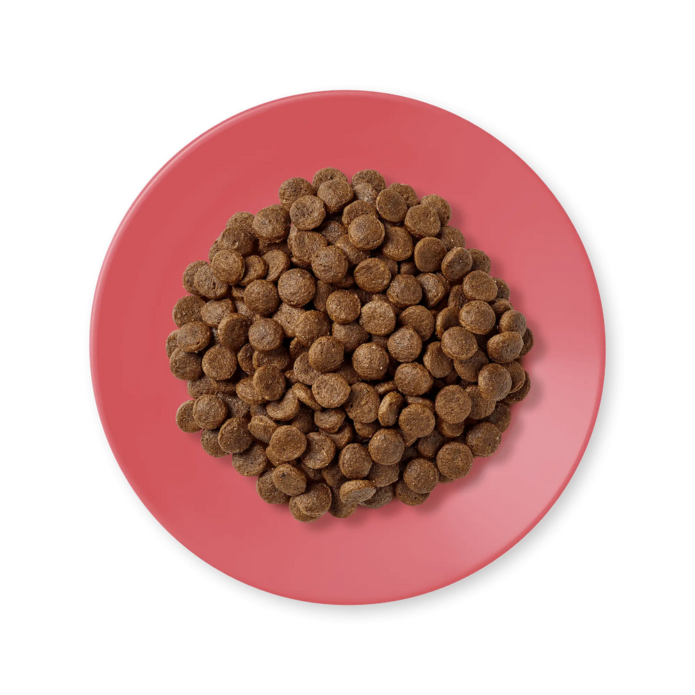 Applaws croccantini Pollo e Anatra 2kg Applaws