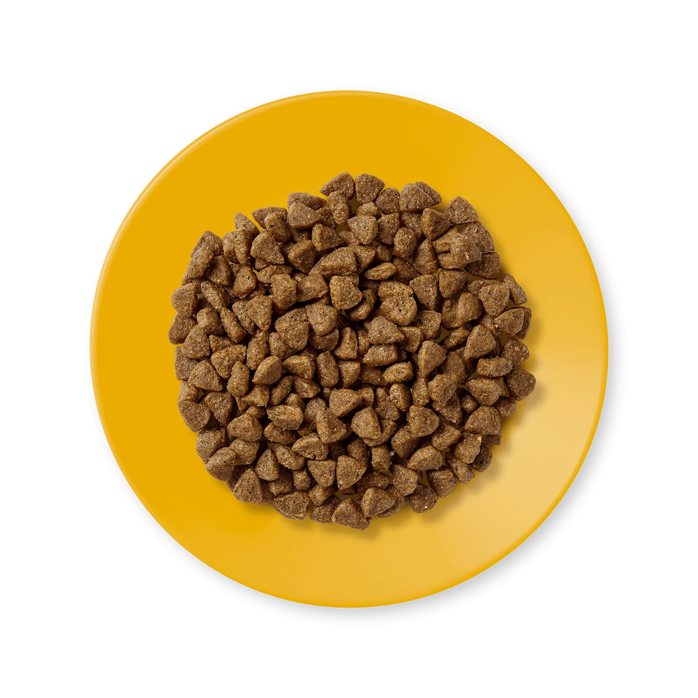 Applaws crocchette Pollo Kitten 400g Applaws