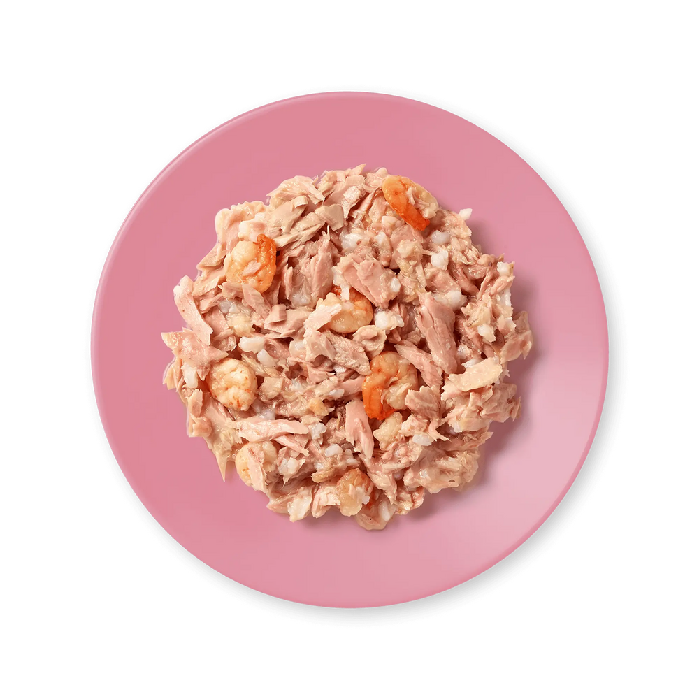 Applaws pot filetto di tonno in brodo con gamberi 10x60g Applaws