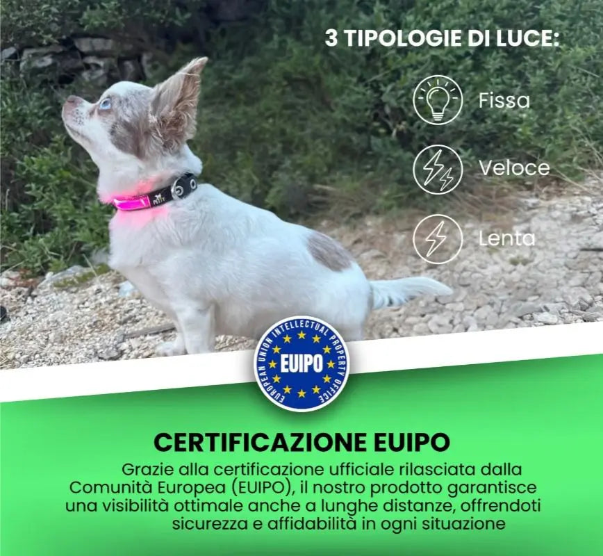 COLLAR LED BIOTHANE Respet