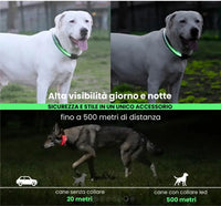 COLLAR LED BIOTHANE Respet