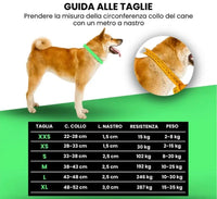 COLLAR LED BIOTHANE Respet