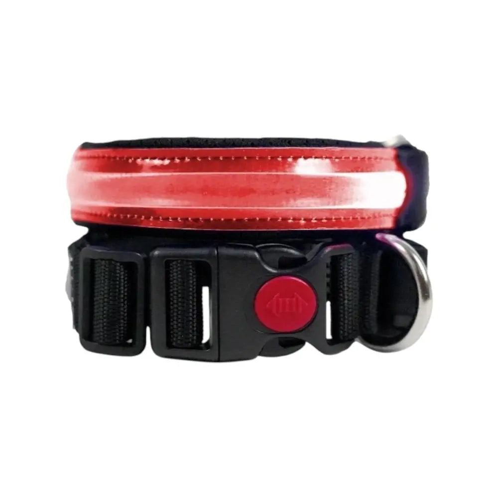 COLLAR LED Respet