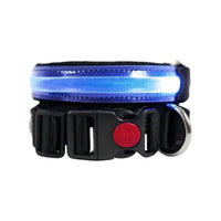 COLLAR LED Respet