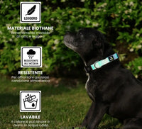 COLLARE RAINBOW Respet